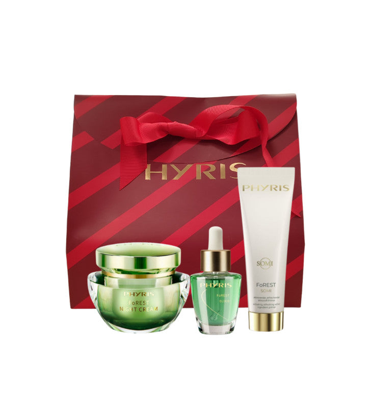 Pack Navidad Forest Night - Phyris___9503___3789648811